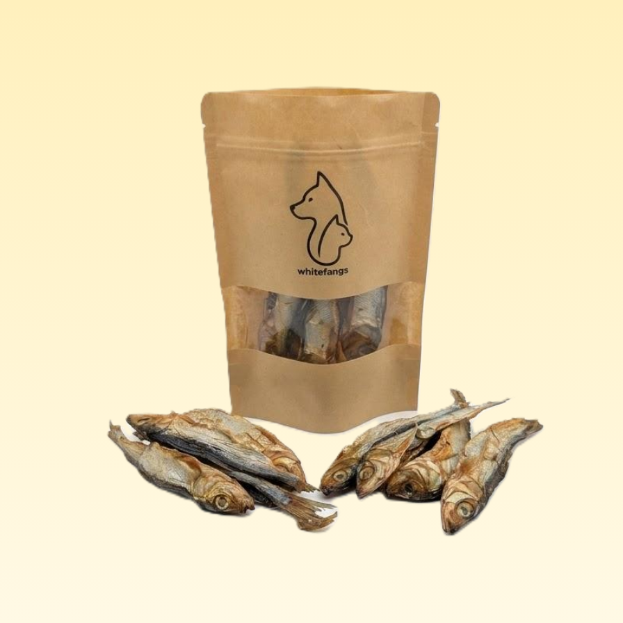 Harengs séchés 100% Naturels – Le plaisir venu de la mer