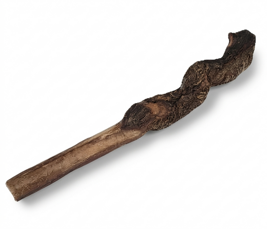 Nerf de bœuf 35cm - La mastication robuste, saine et durable